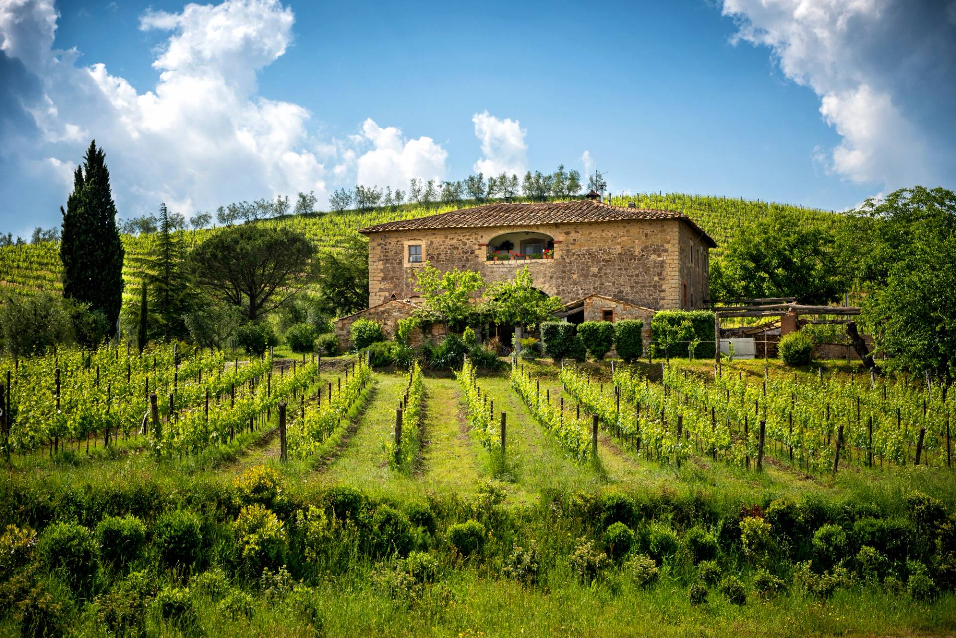 colline del chianti toscana