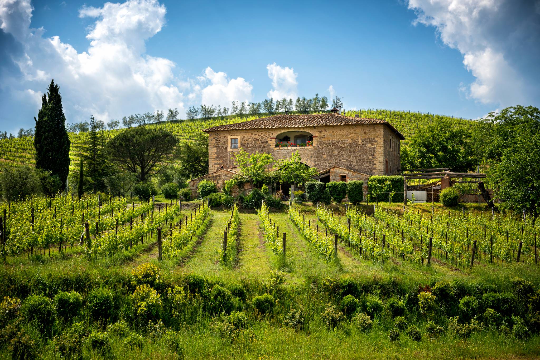 colline del chianti toscana