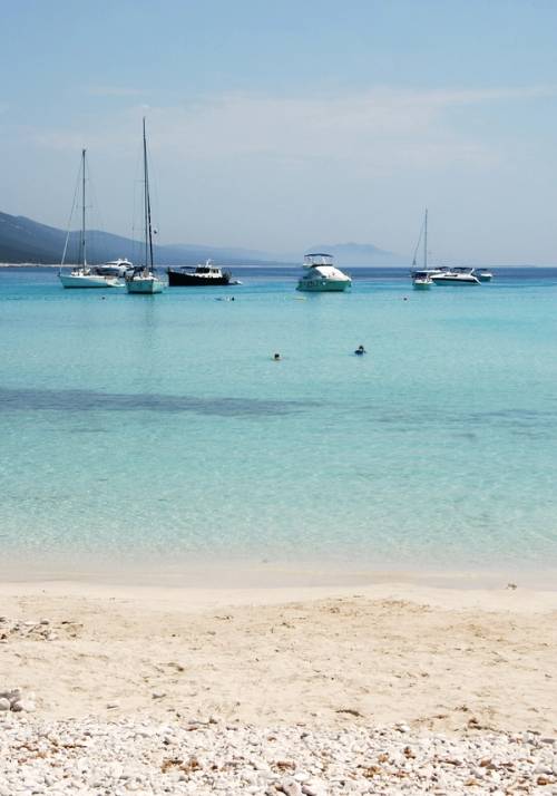 tour in barca a vela in croazia