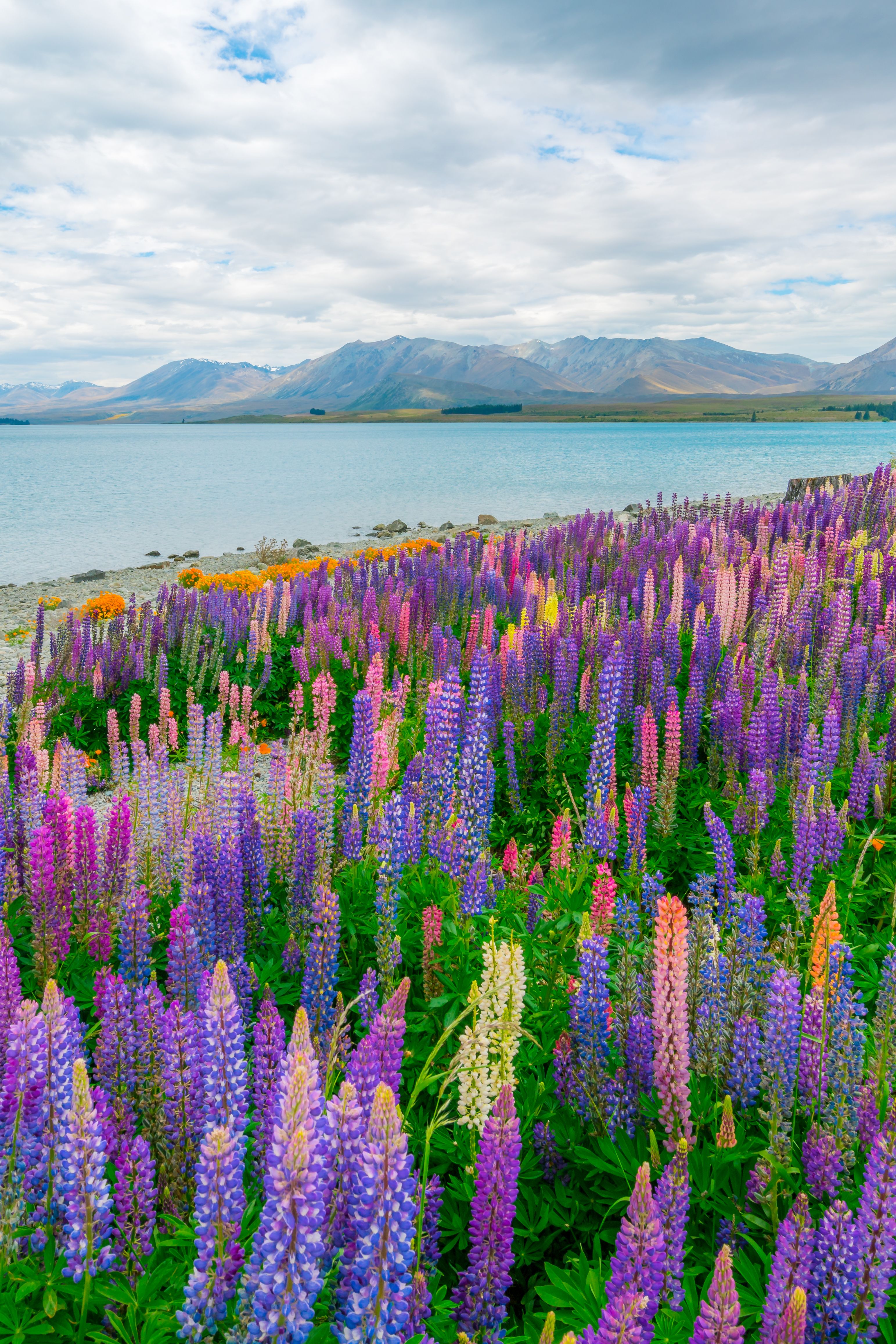 lago tekapo