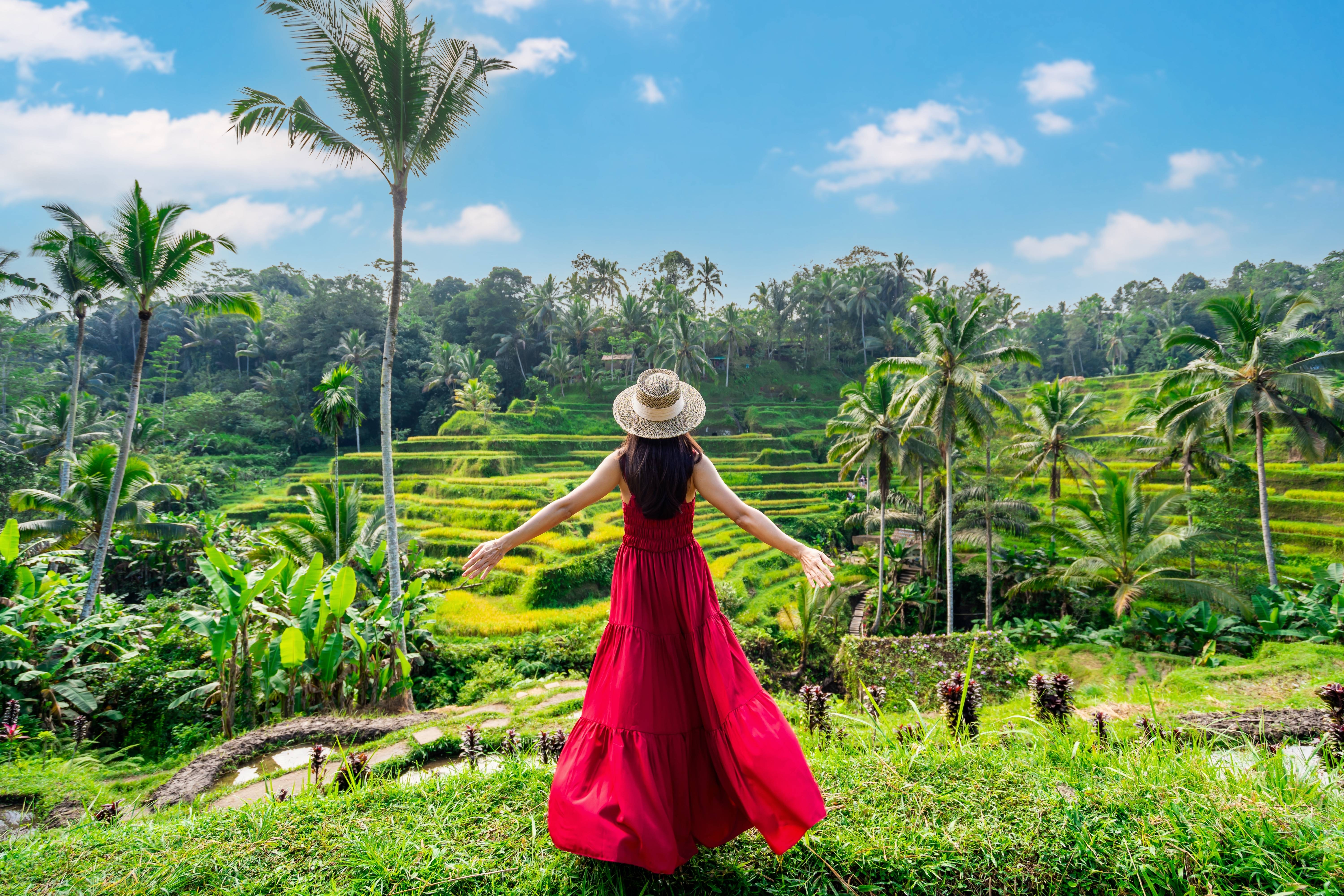 ragazza a bali davanti le risaie