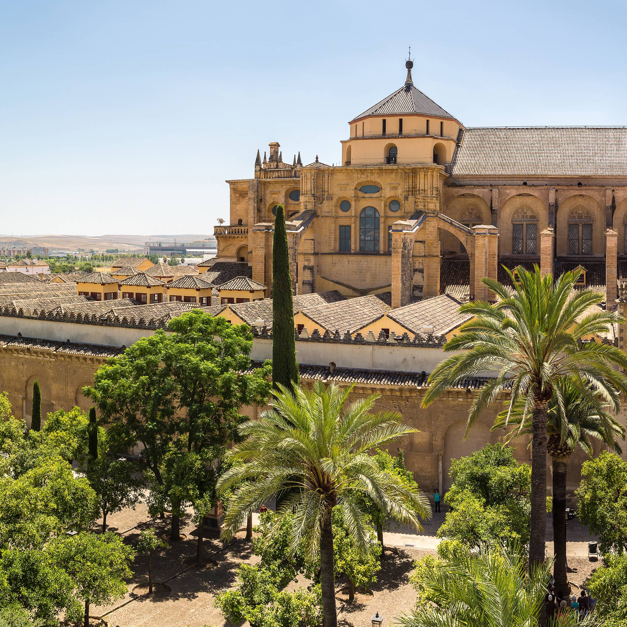 Tour in Andalusia, Costa del Sol e Castiglia