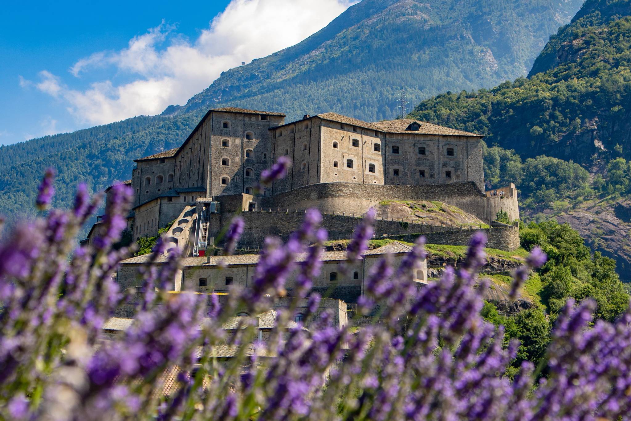 forte di bard nascosto fra i fiori di lavanda