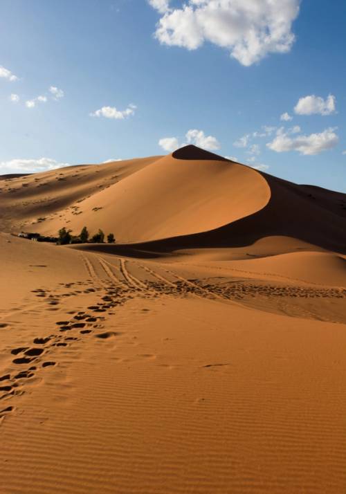 deserto del sahara in tunisia