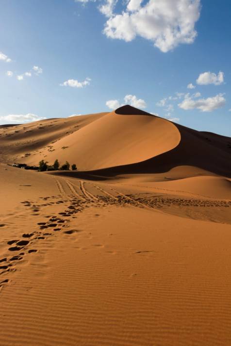 deserto del sahara in tunisia