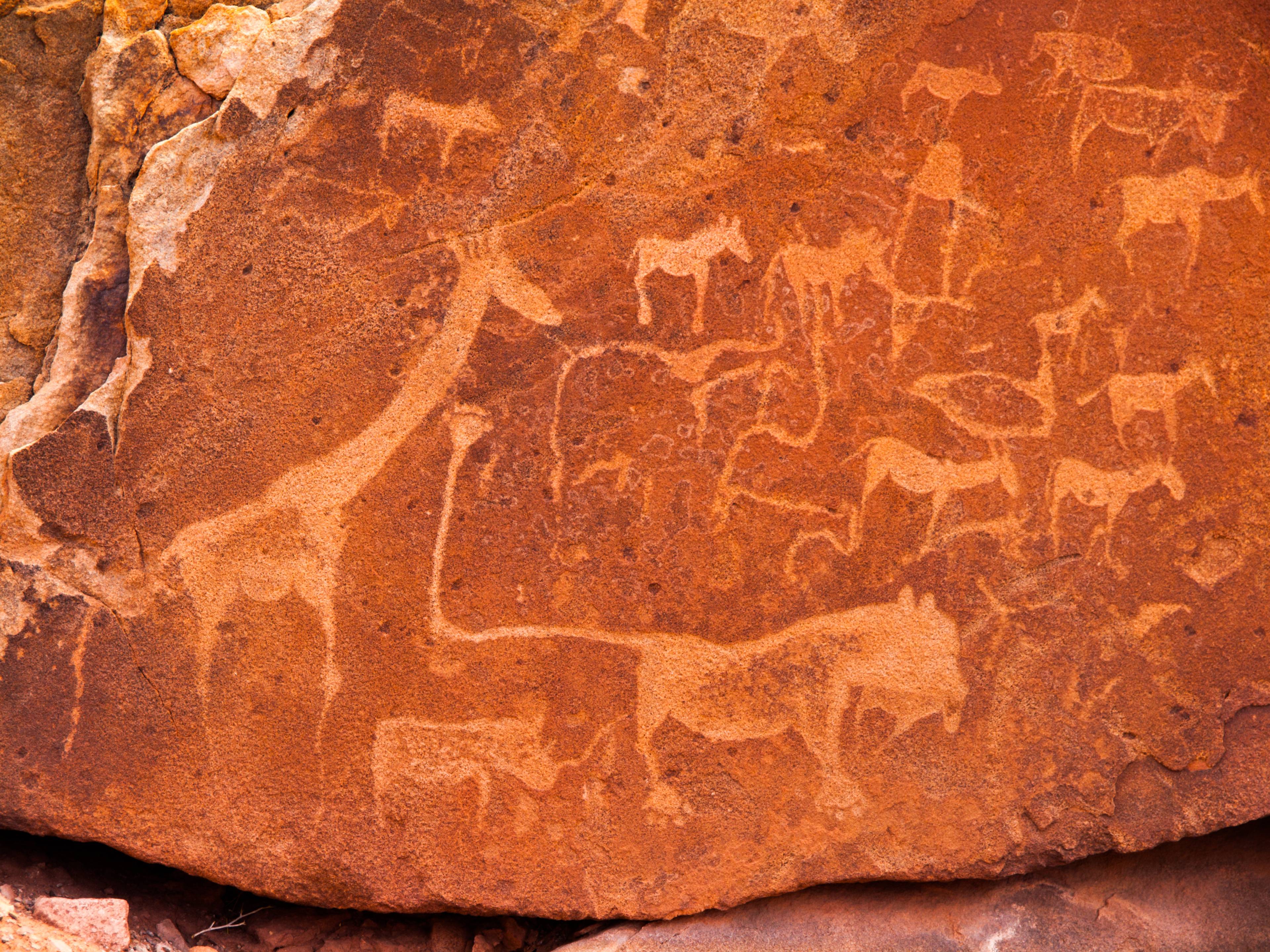 disegni rupestri twyfelfontein