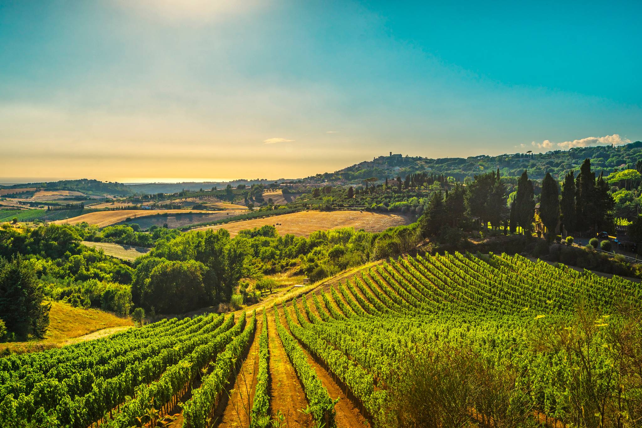 colline toscane