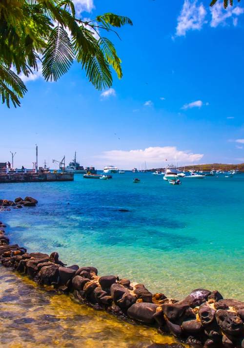 foto di Isla Isabela