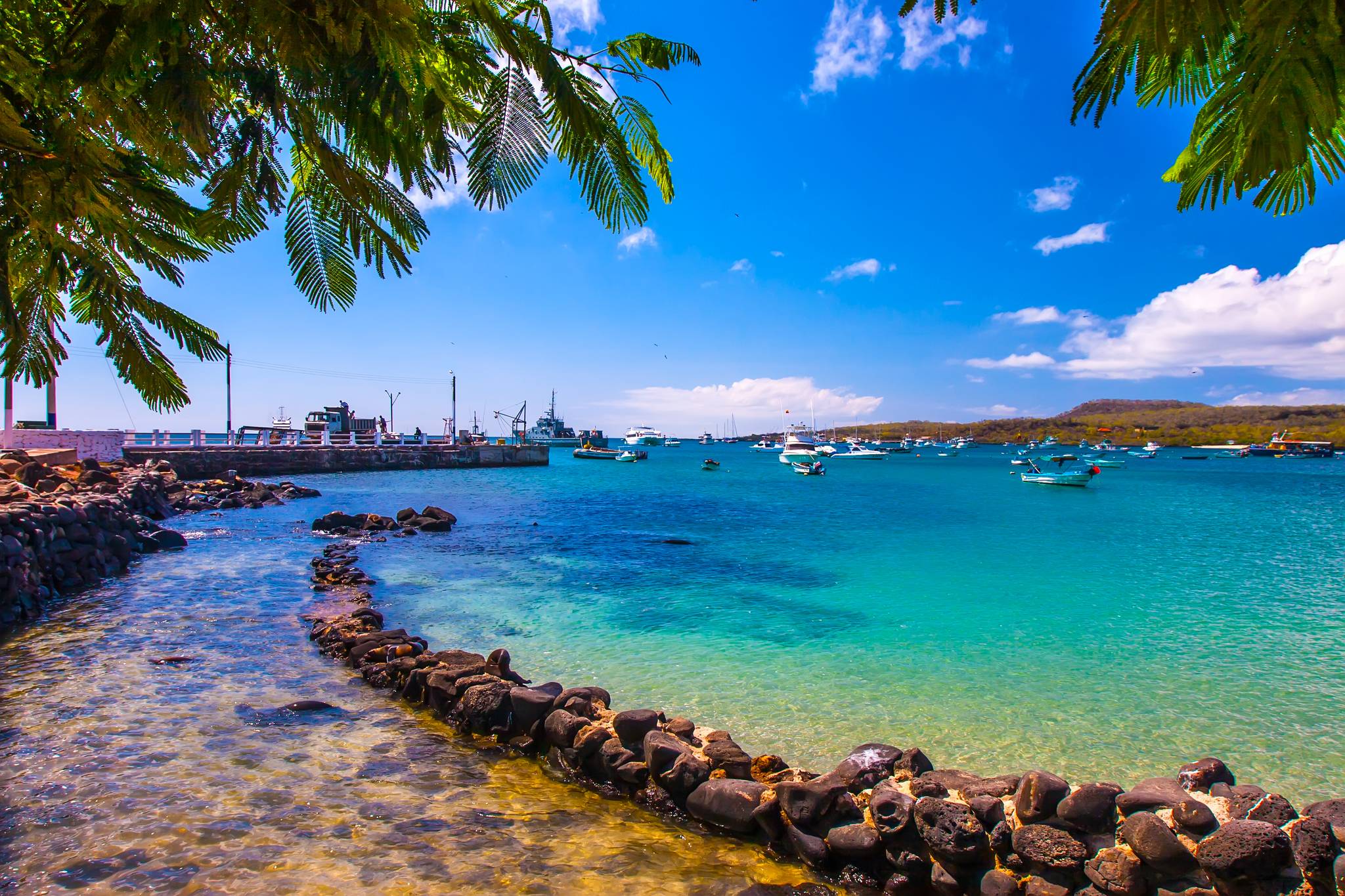 ISLA ISABELA