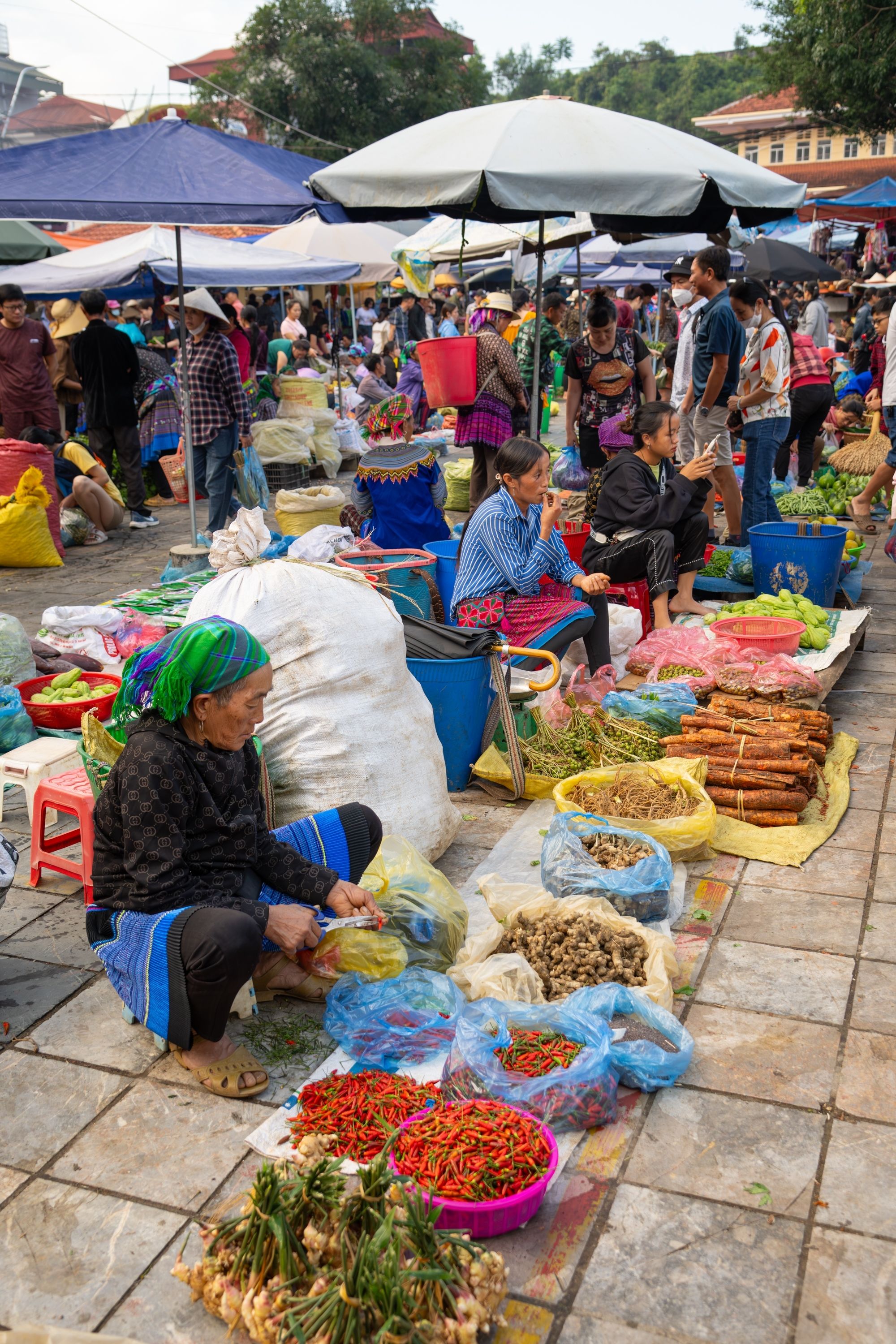 Vietnamese stock market
