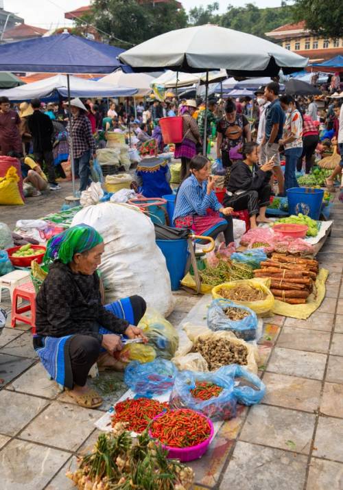 Vietnamese stock market