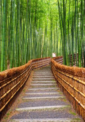 arashiyama giappone