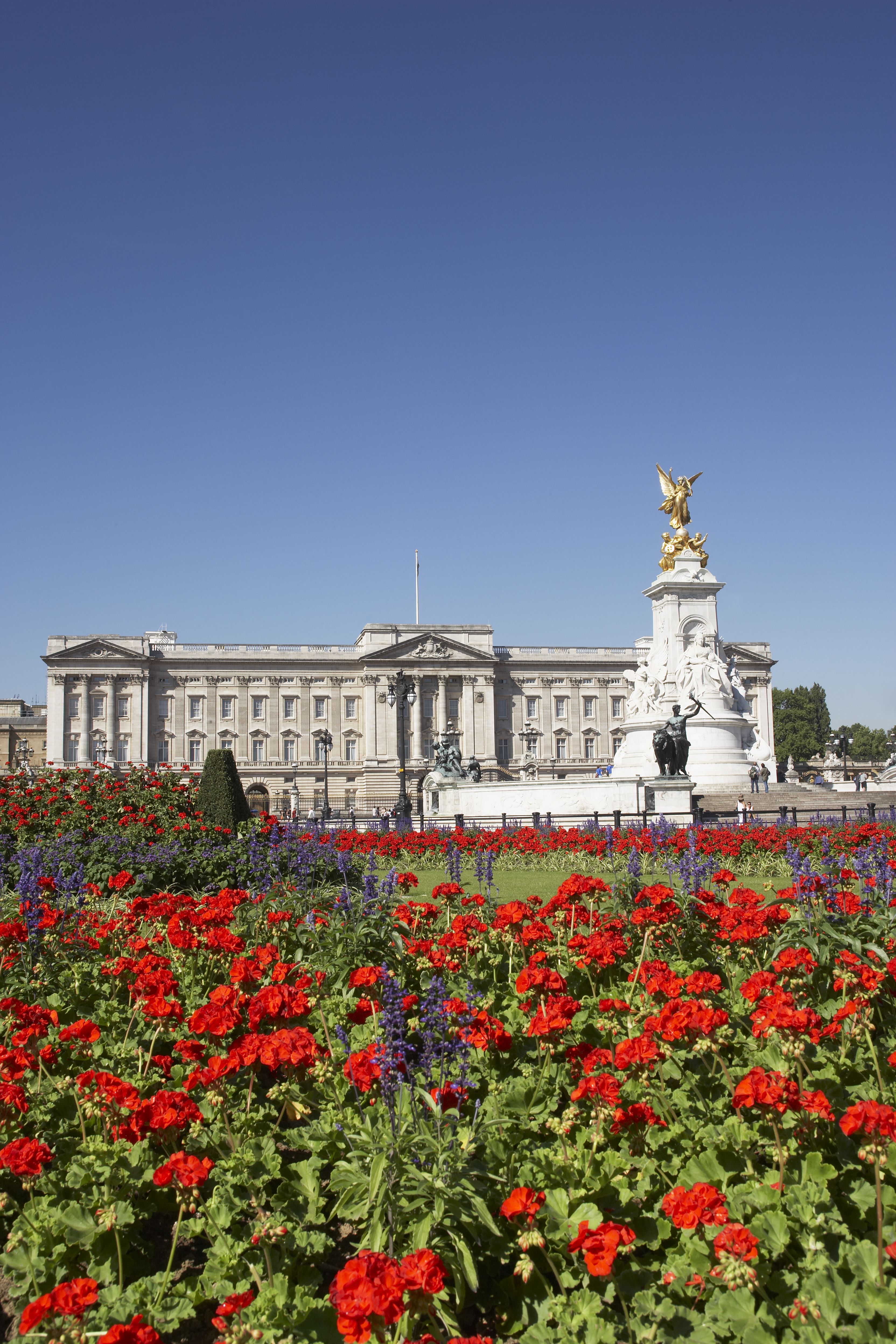 buckingham palace fiori rossi londra