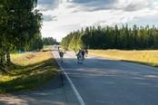 renne in strada in estate finlandia