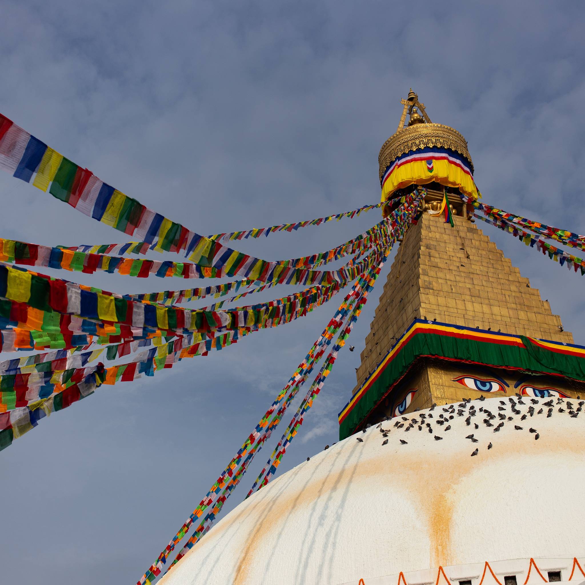 Tour del Nepal classico in 6 giorni