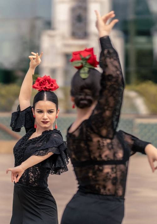 flamenco