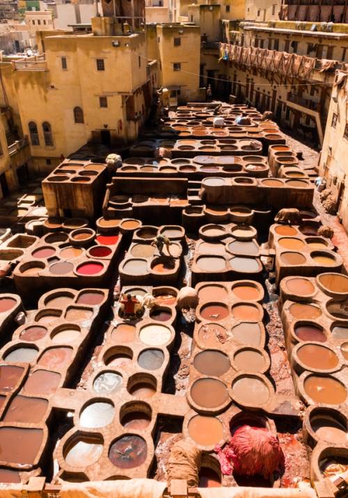 fez spice market