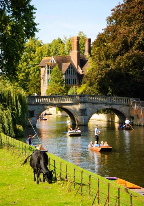 king college cambridge barca