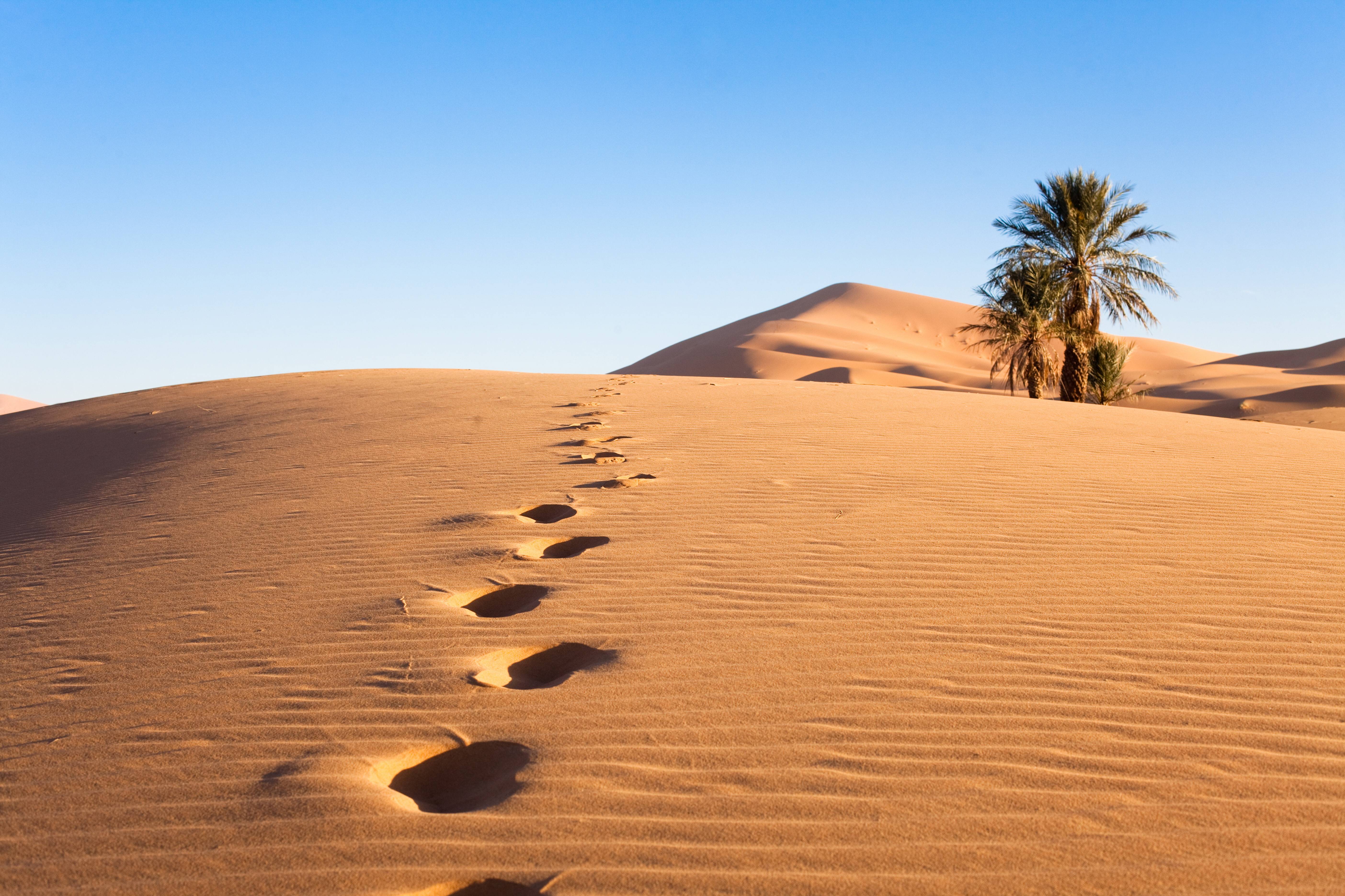 orme sul deserto in medio oriente