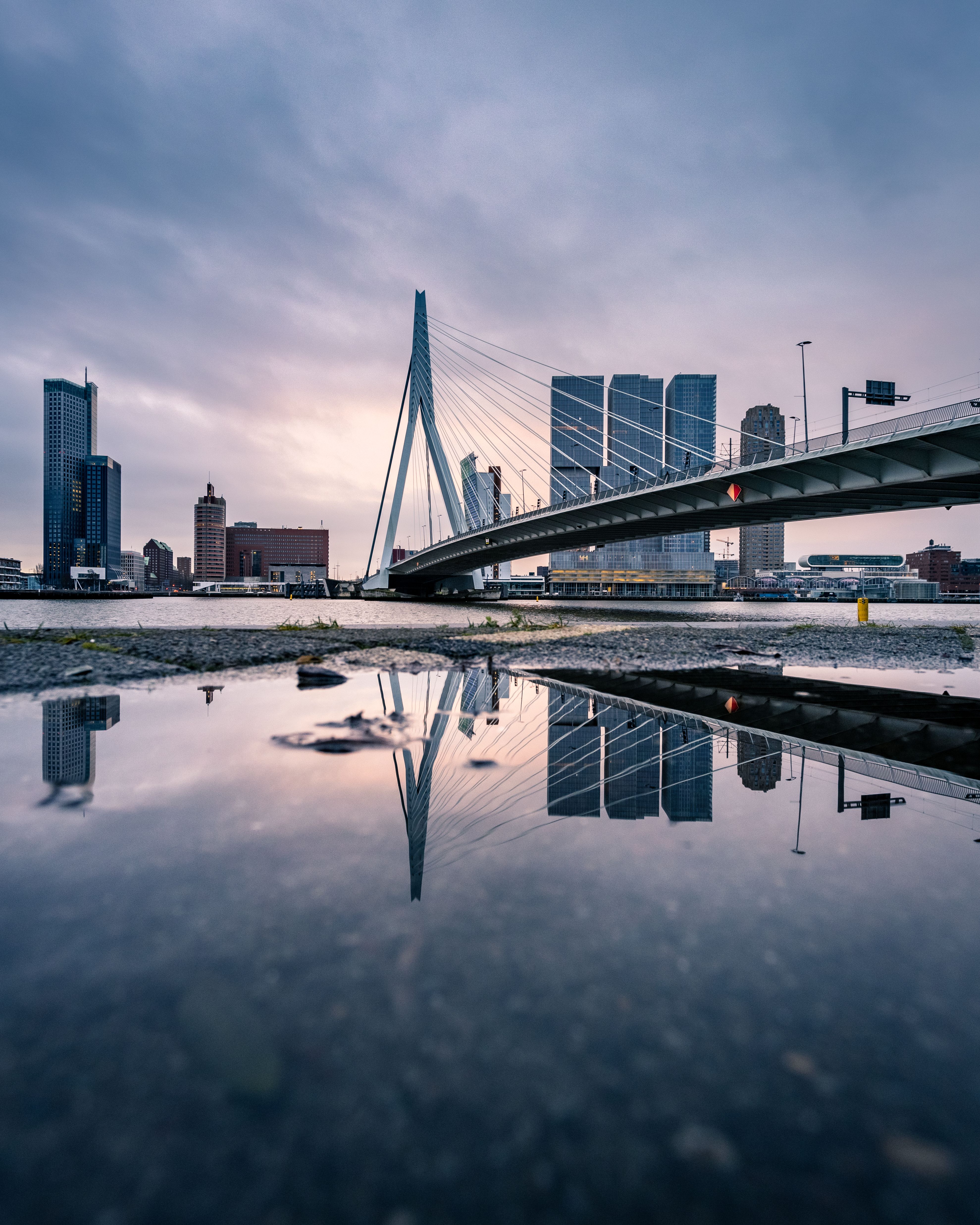 ponte a rotterdam