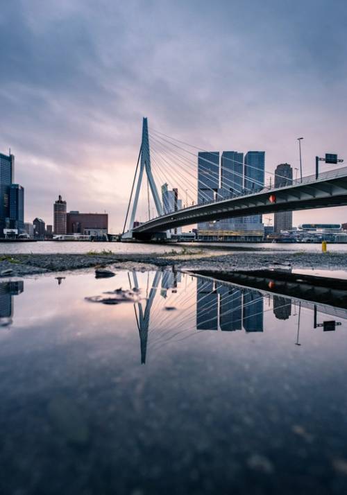 ponte a rotterdam