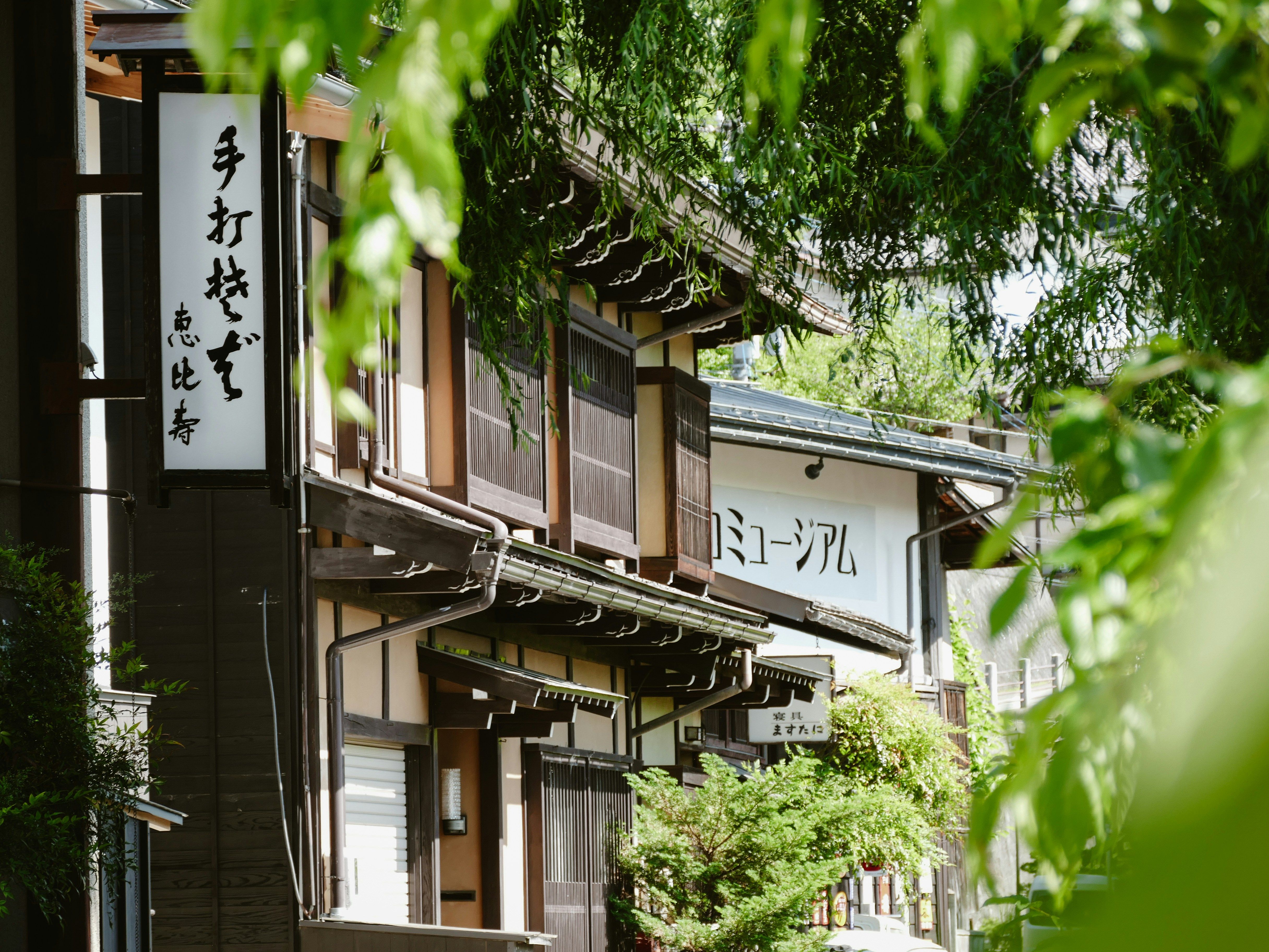Viaggio in Giappone in 12 giorni: da Kyoto a Tokyo cover