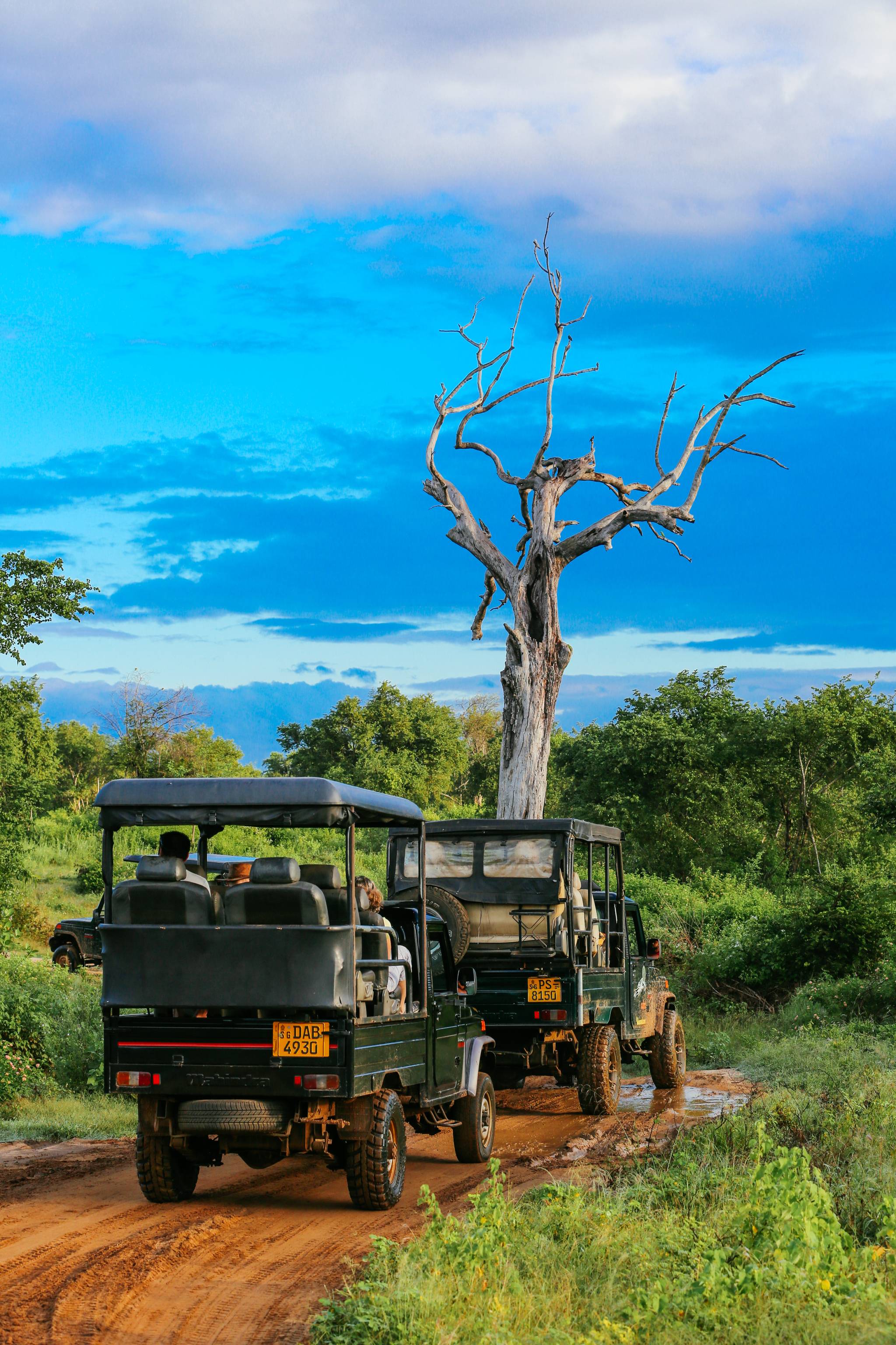 jeep parco nazionale a yala