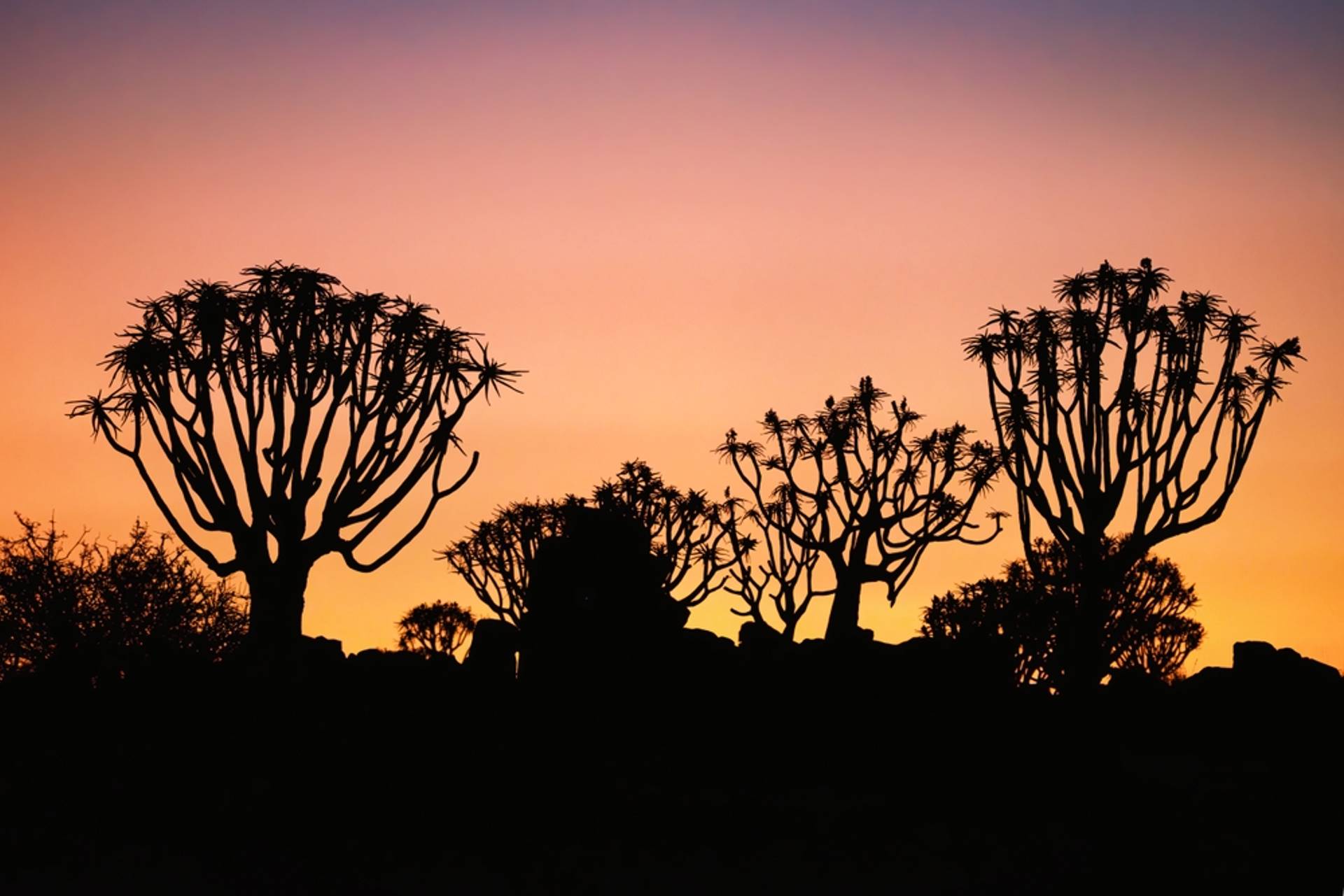 deserto della namibia