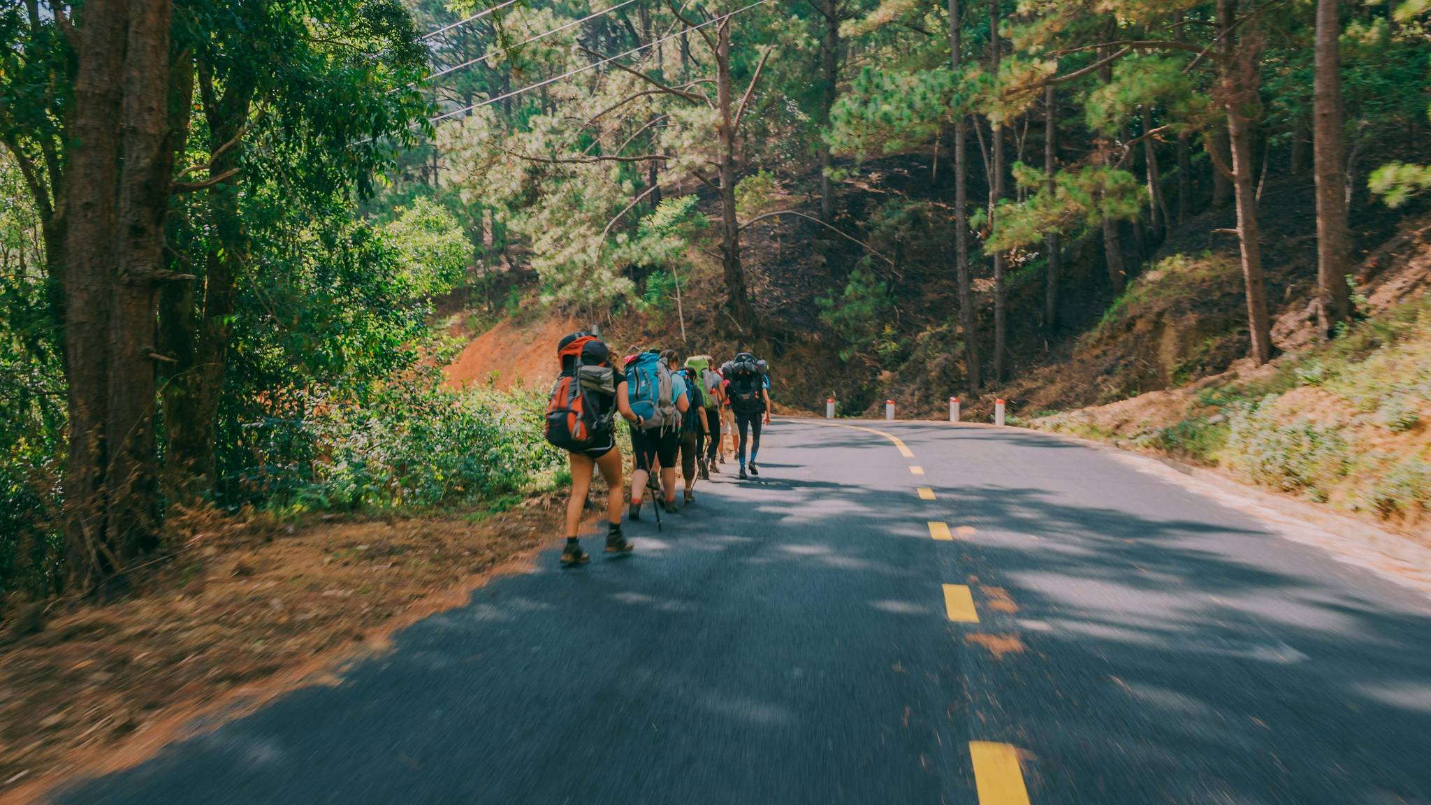 trekking di gruppo organizzati