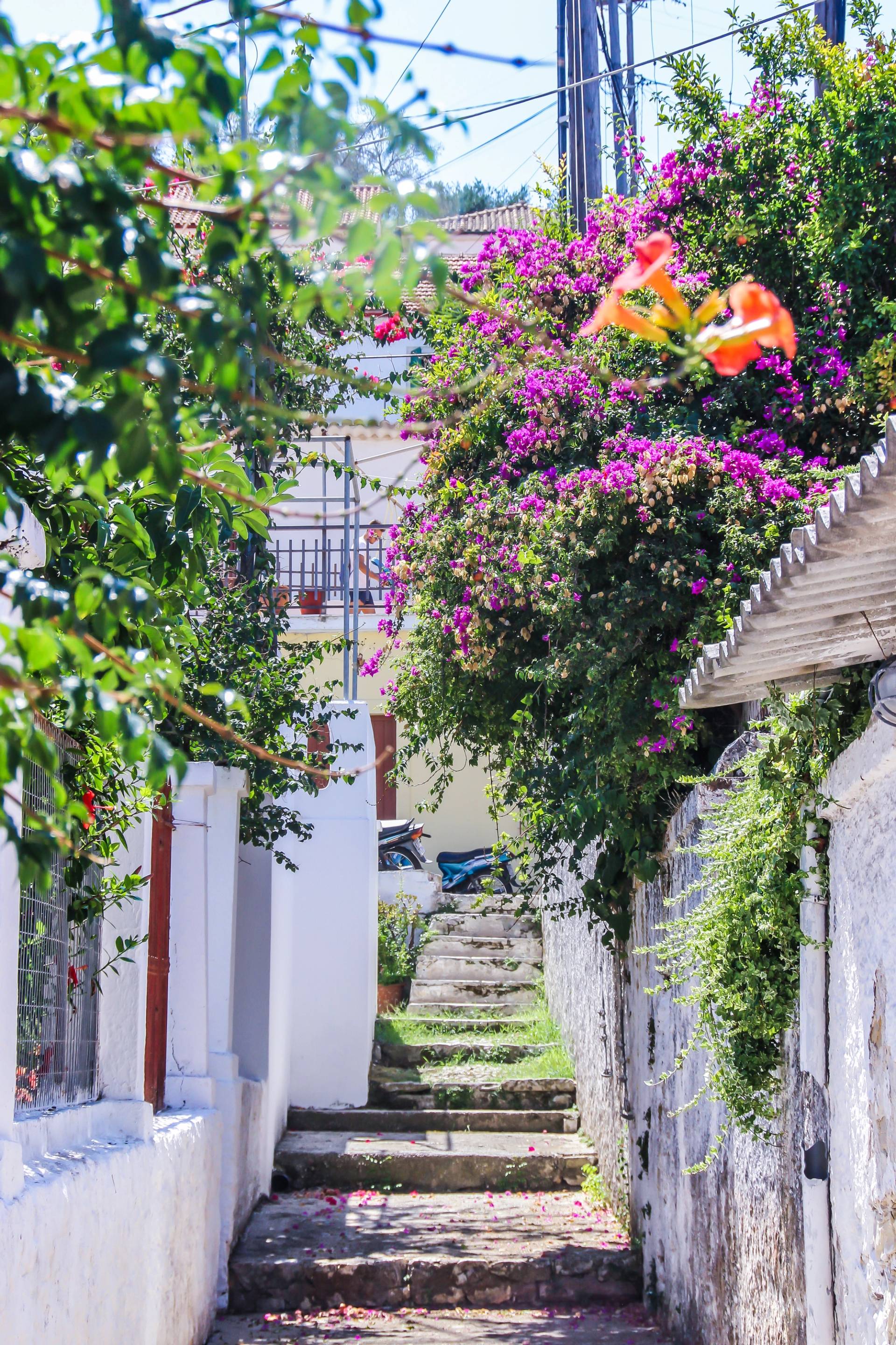 paxos
