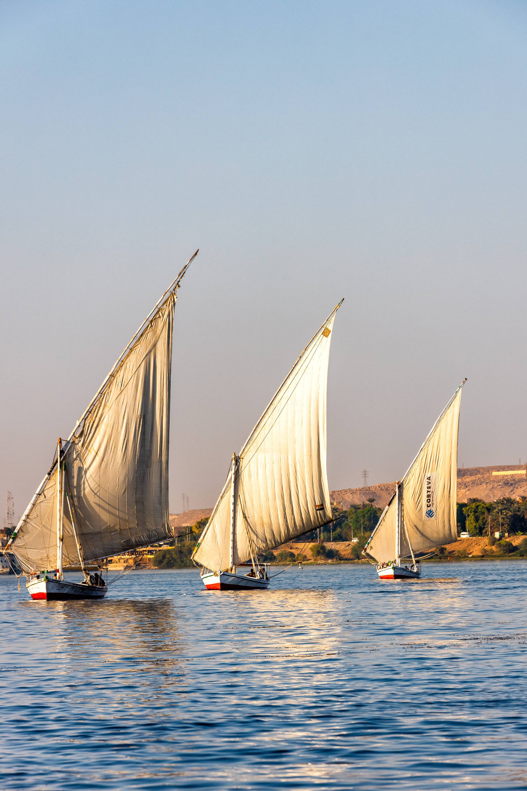 felucca on the Nile
