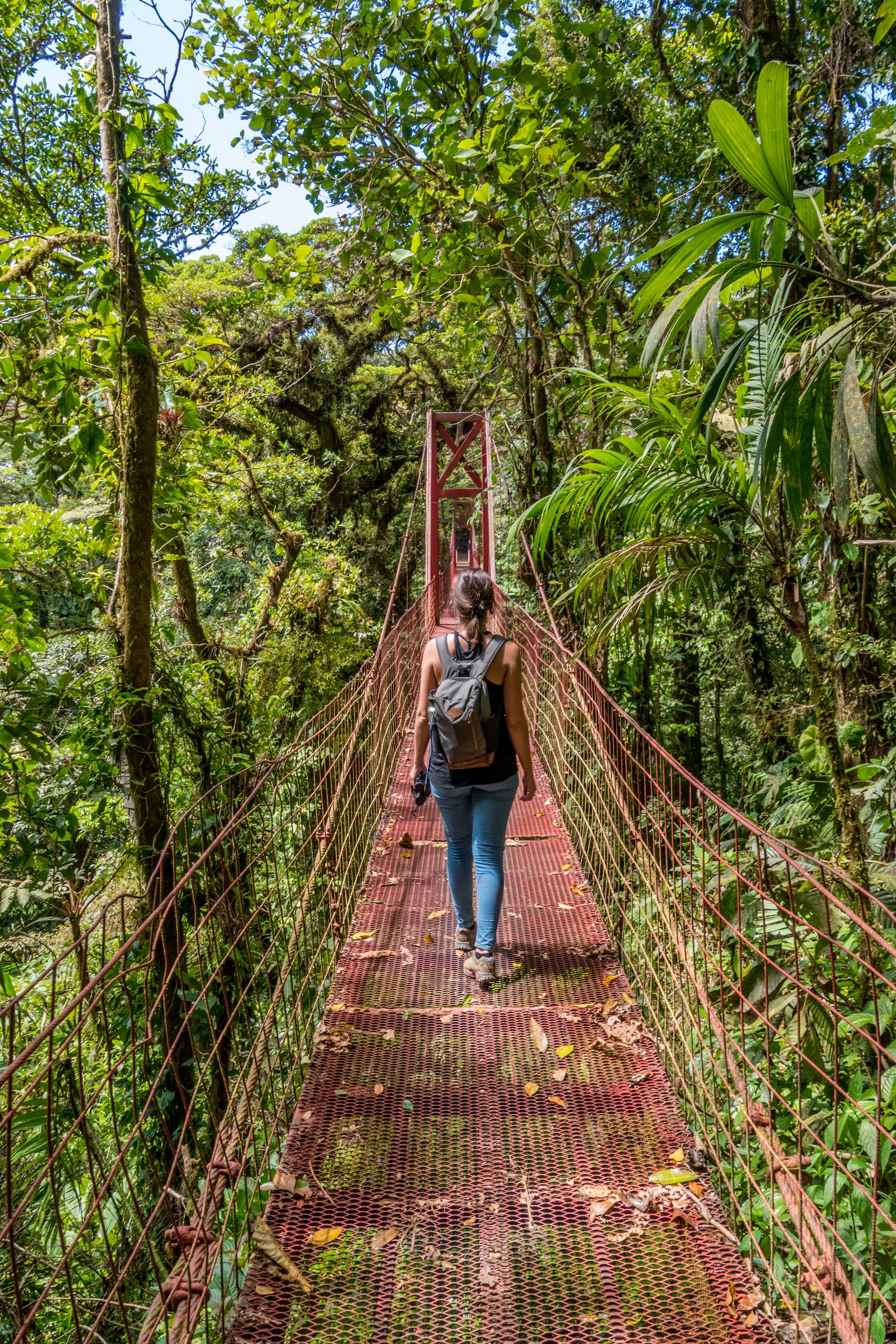 ARENAL - MONTEVERDE  