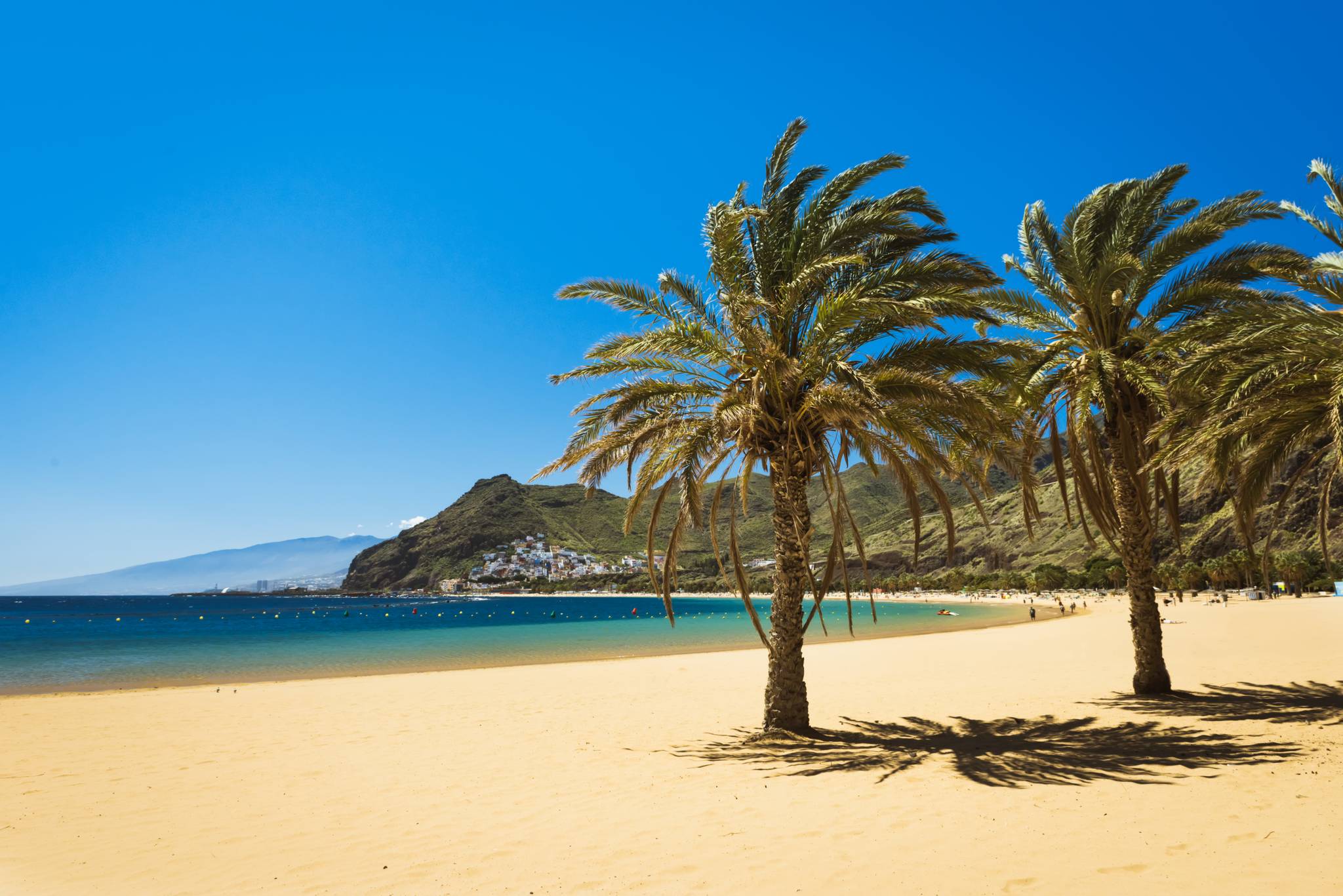 spiaggia con palme las teresitas a tenerife