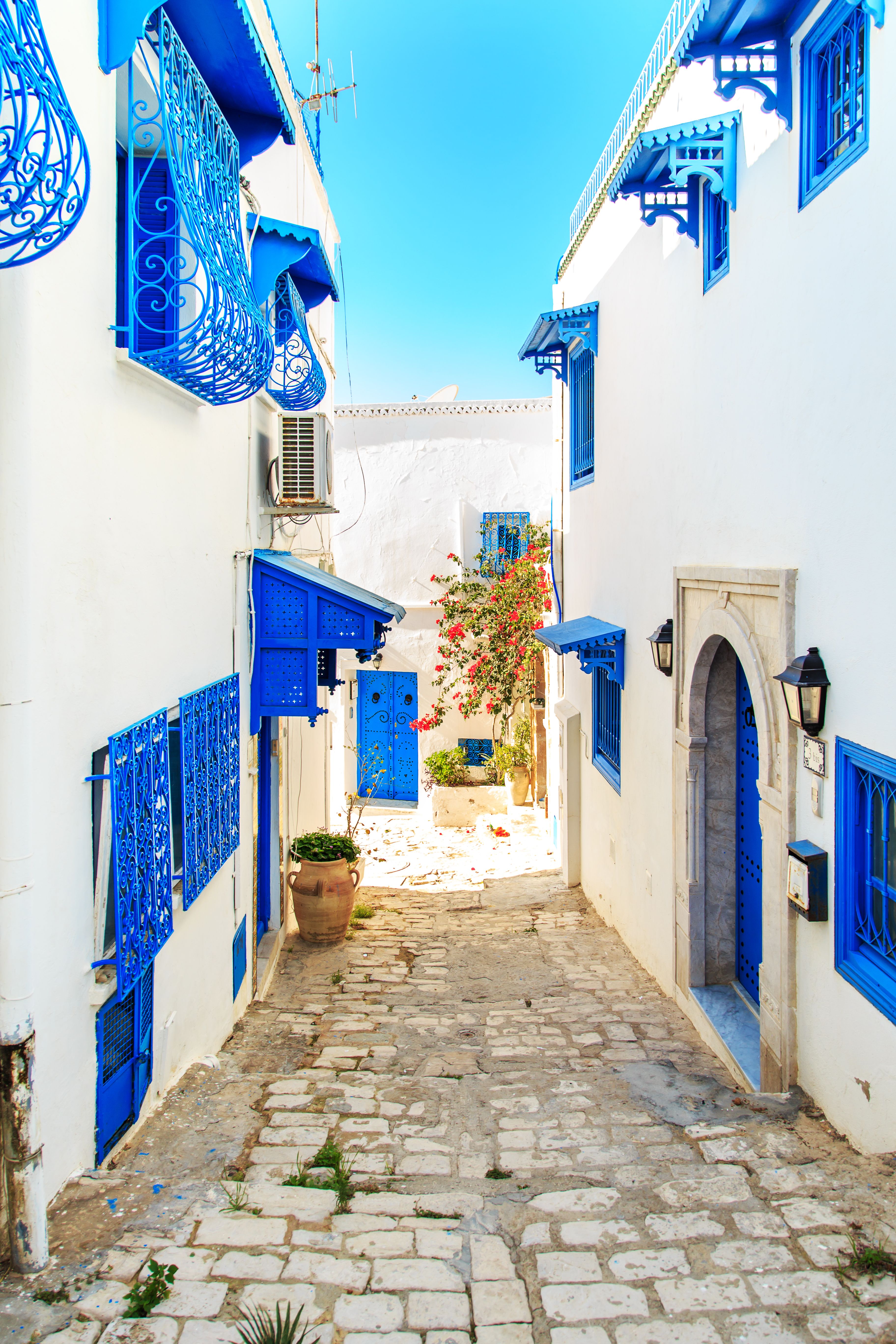 white and blue houses of Sidi Bou Said