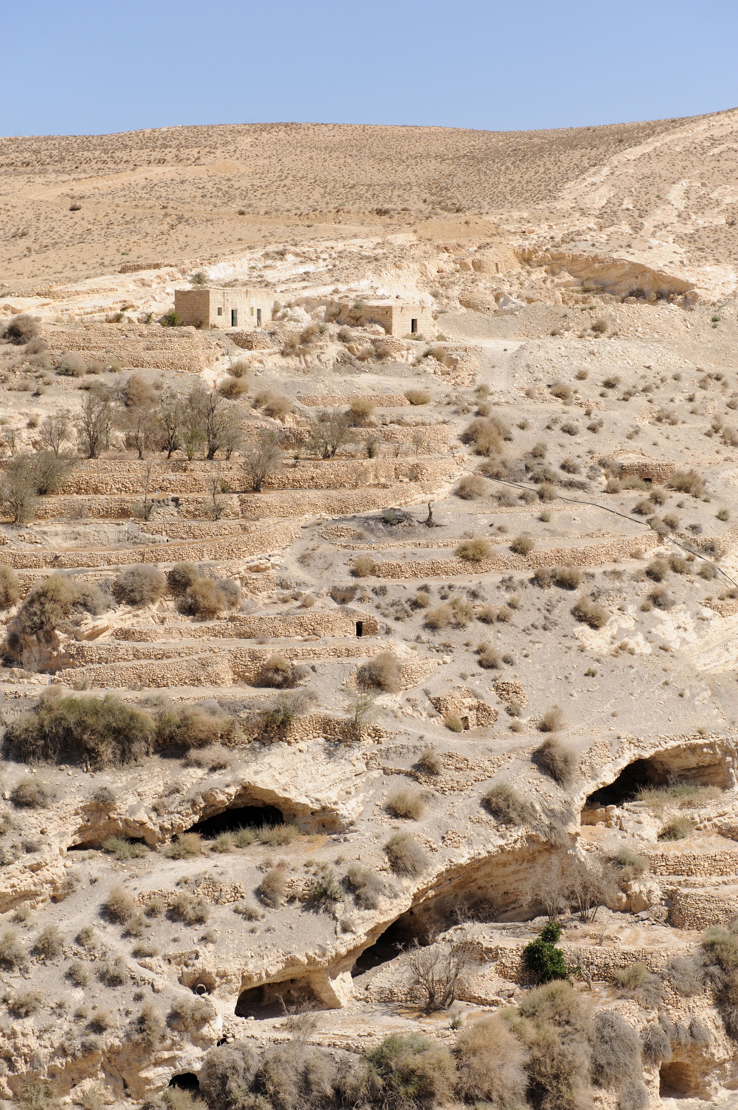 foto di Shobak