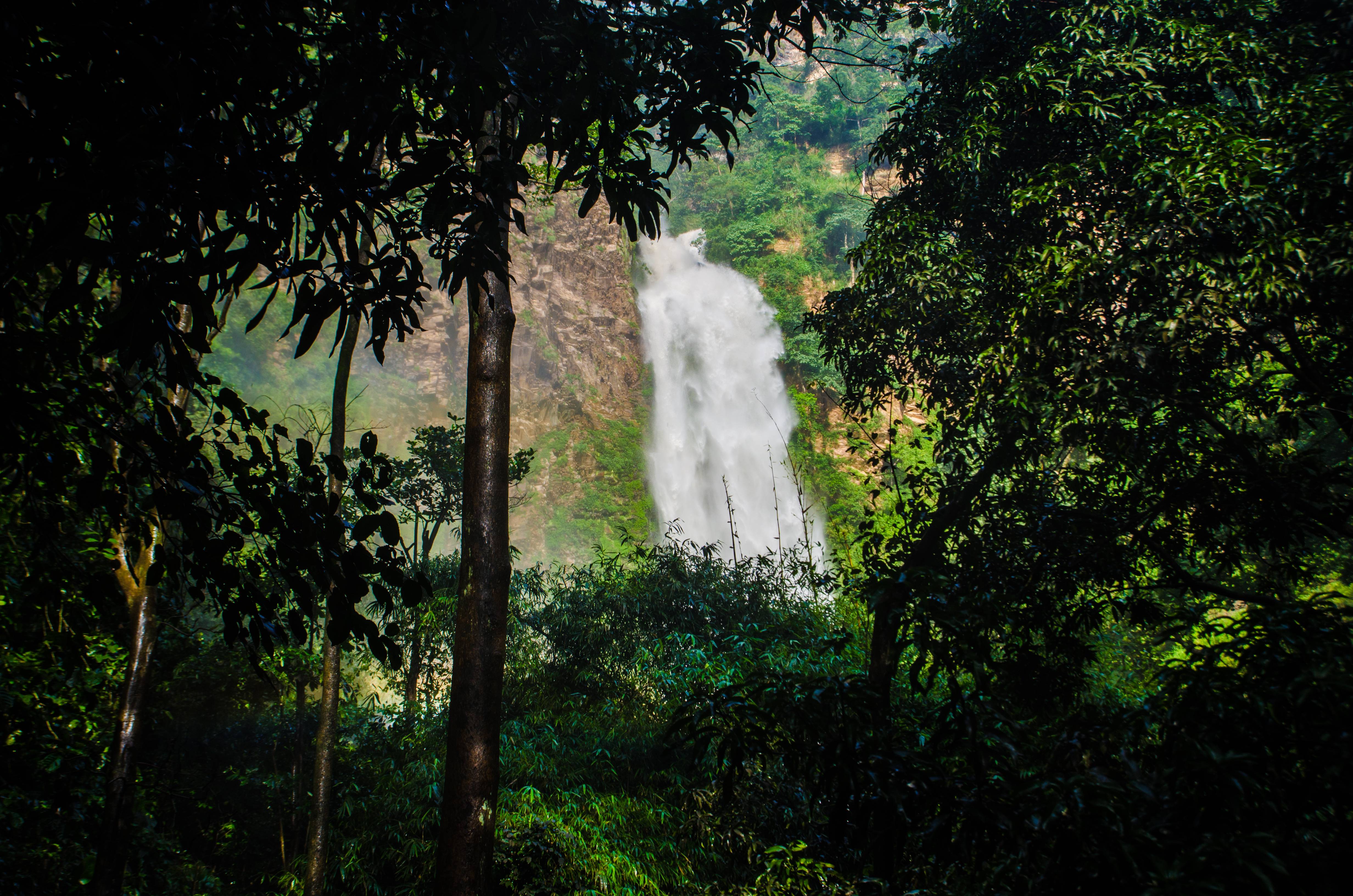 cascata wli