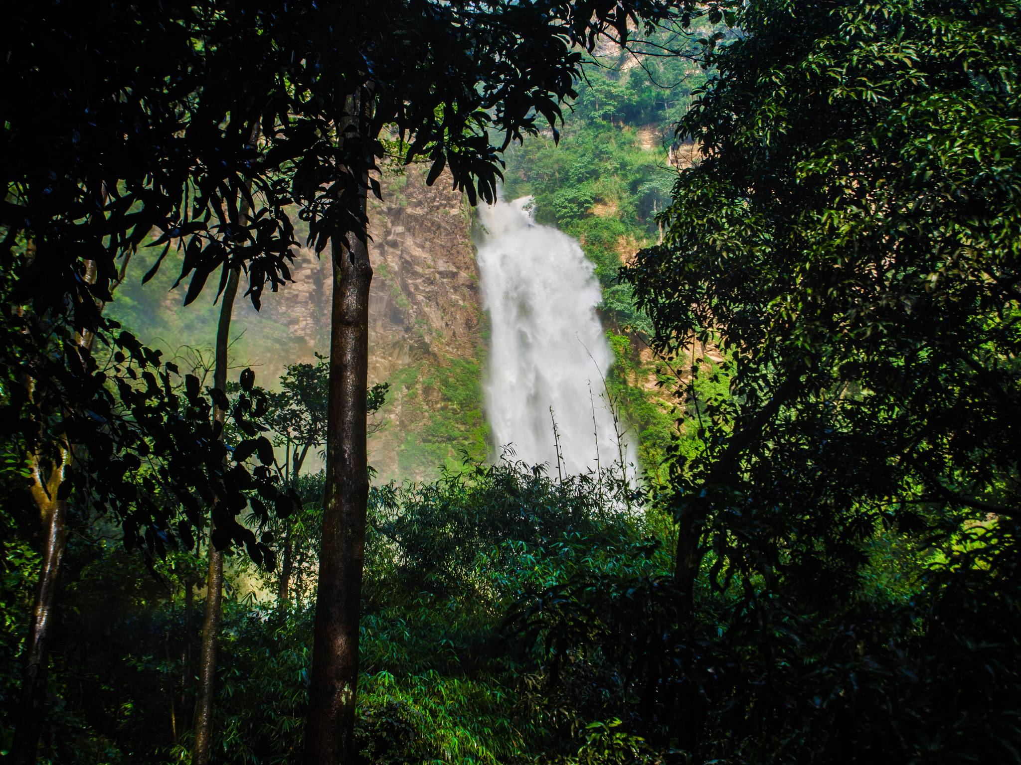 Viaggio in Ghana cover