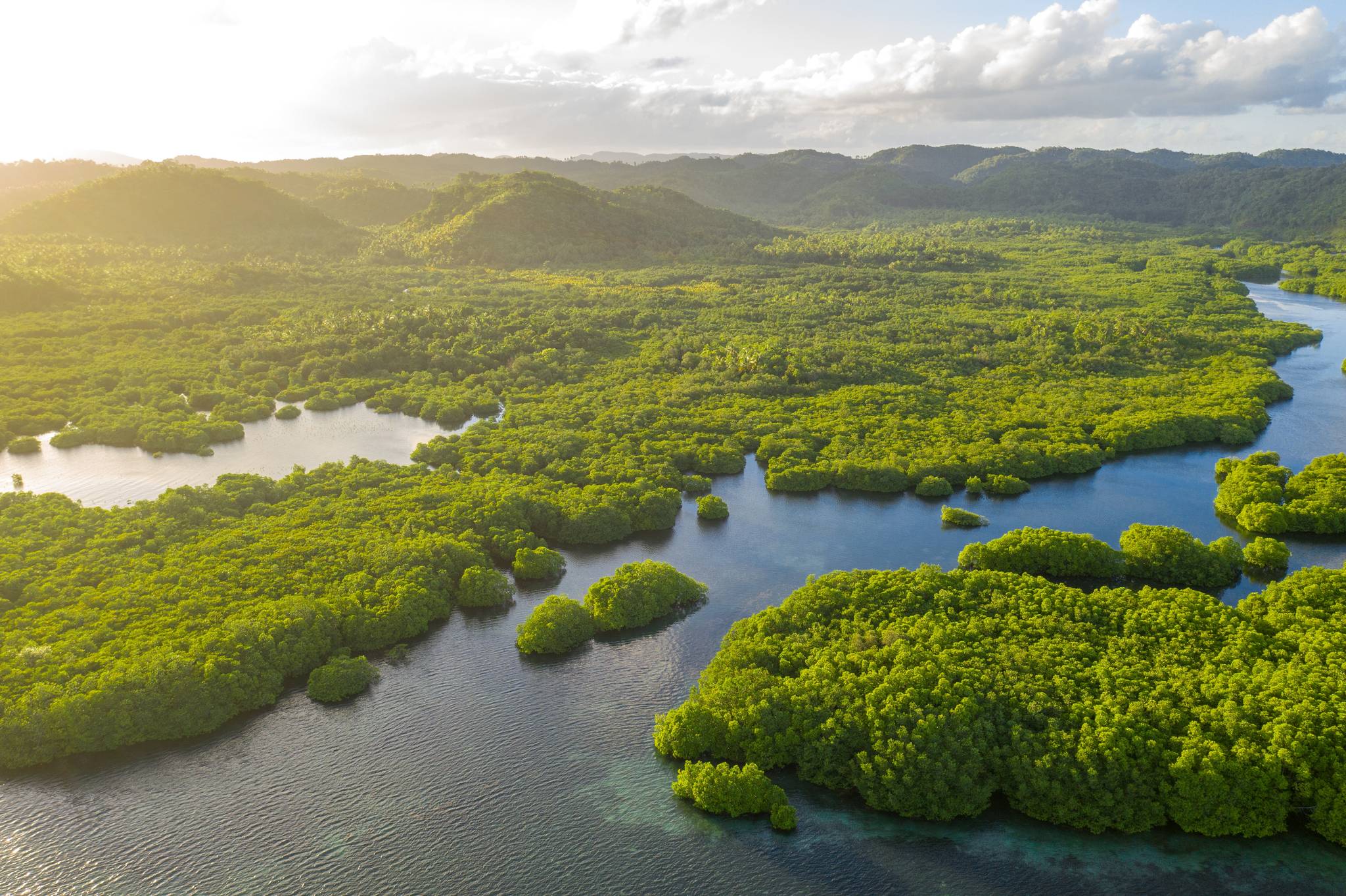 panorama dell amazzonia dall alto