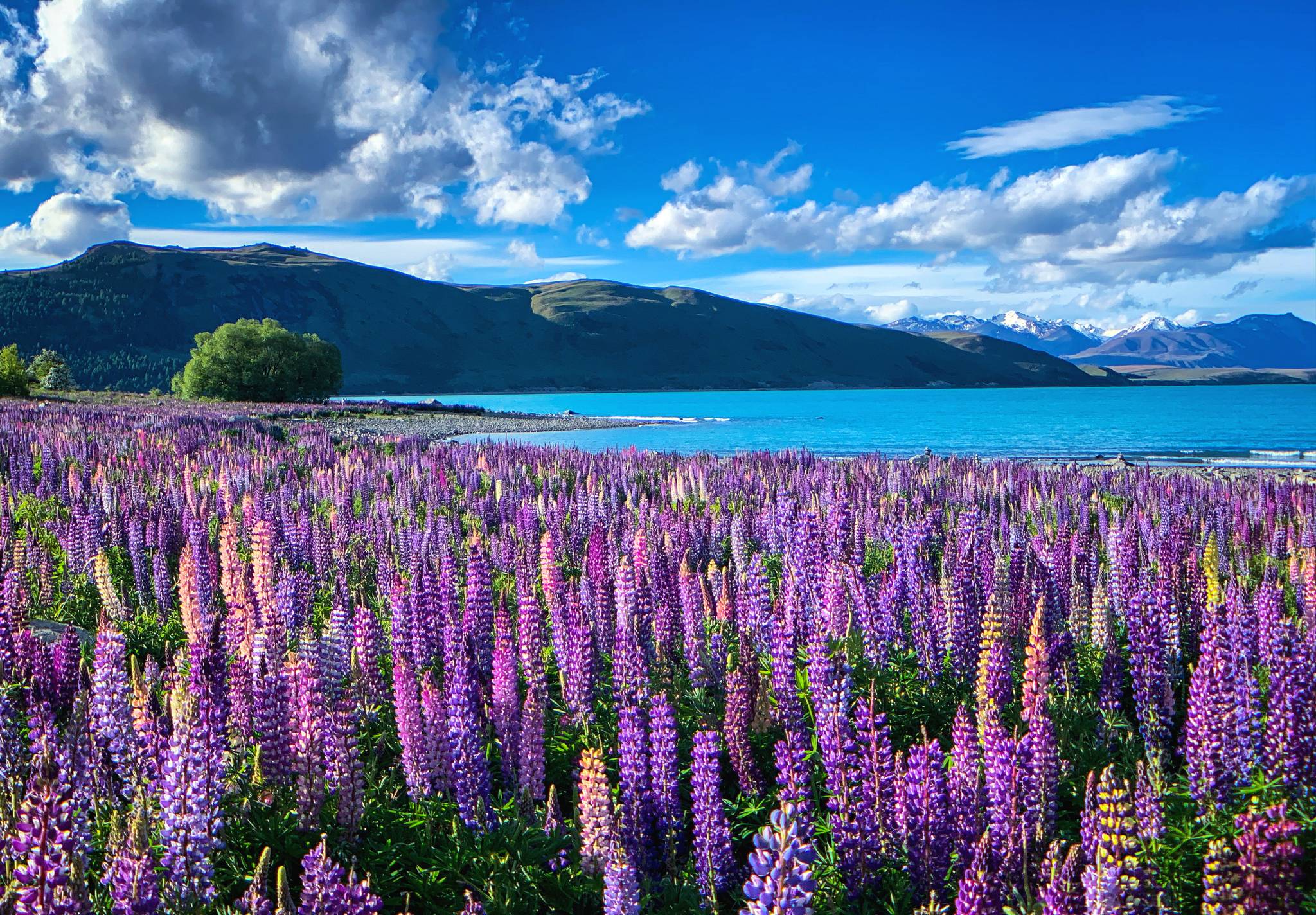 lake tekapo