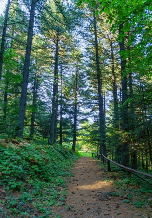 parco nazionale del pelister