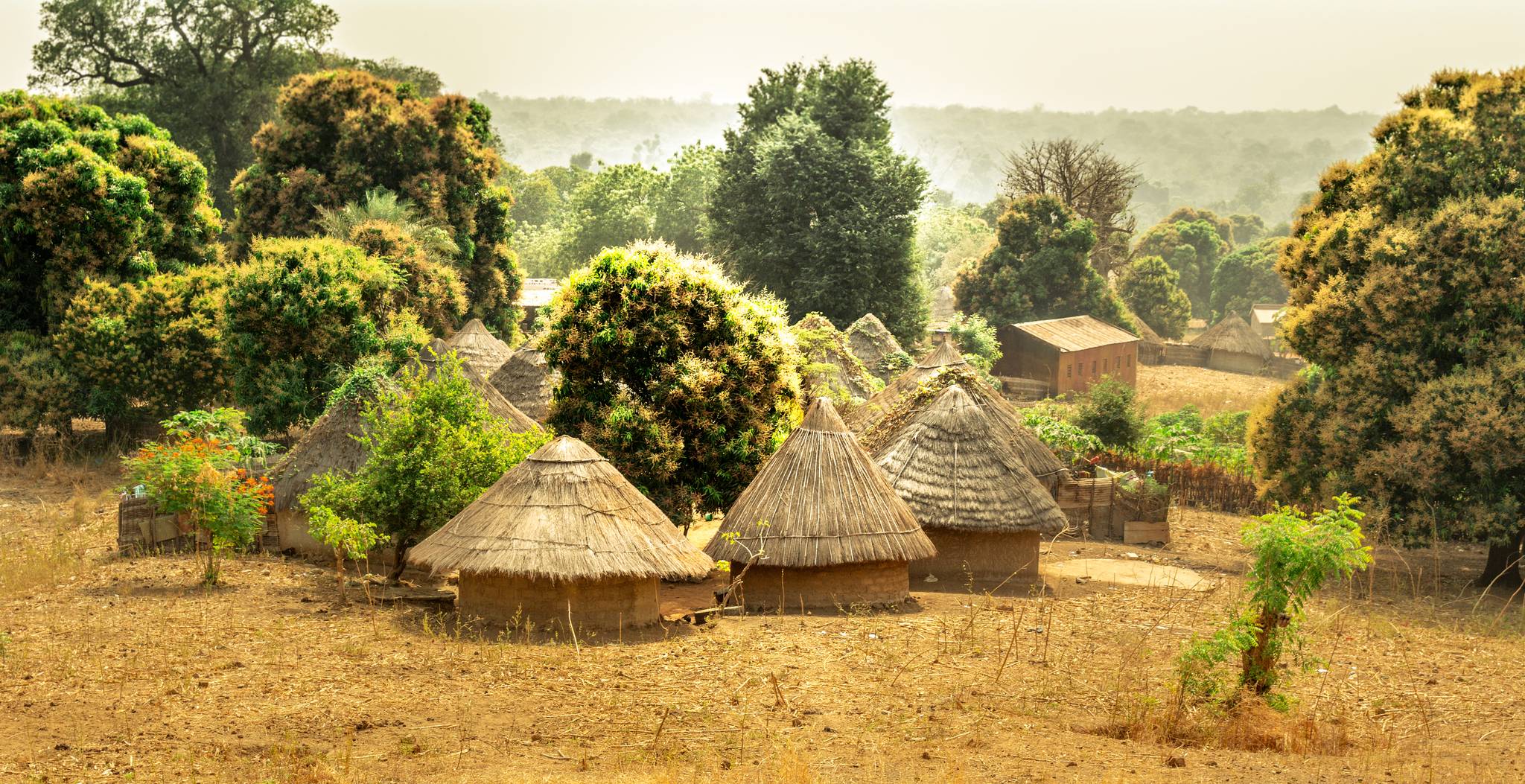 straw houses in Senegal