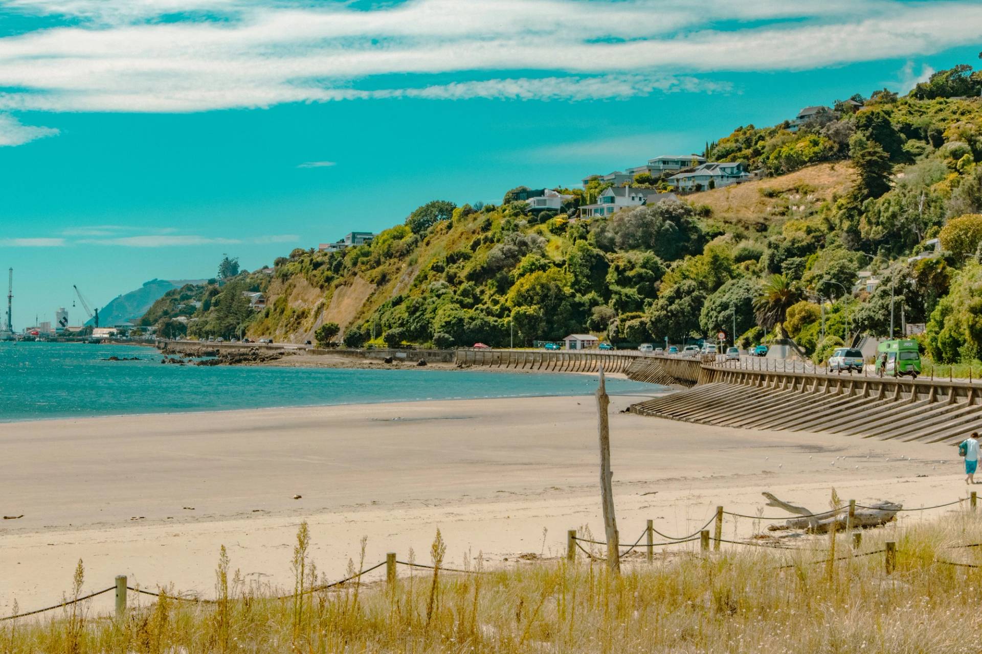 nelson