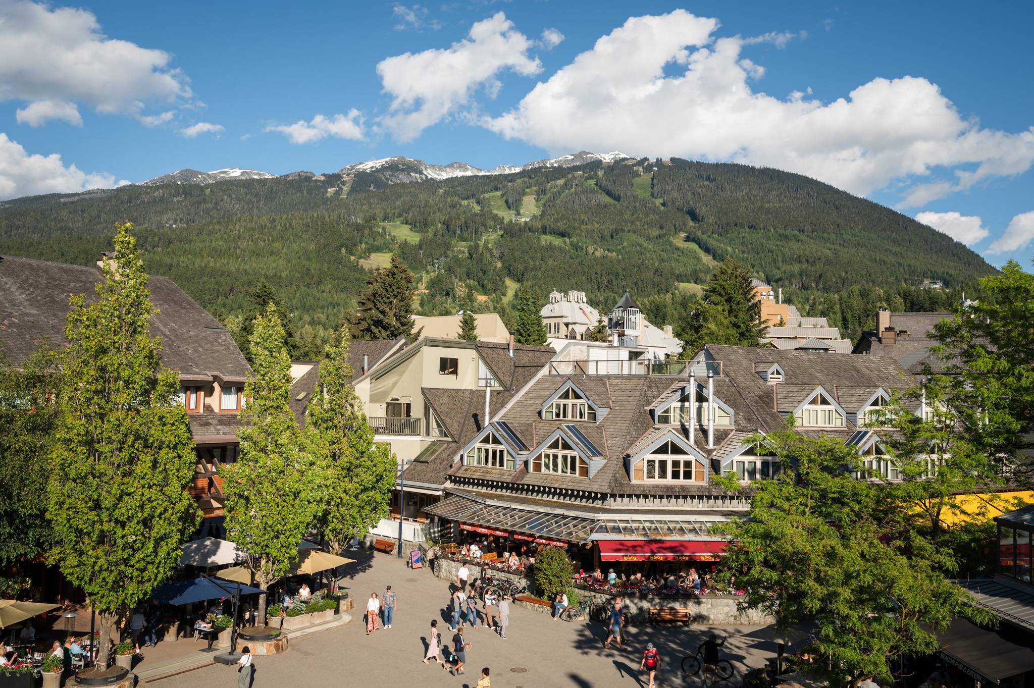 whistler