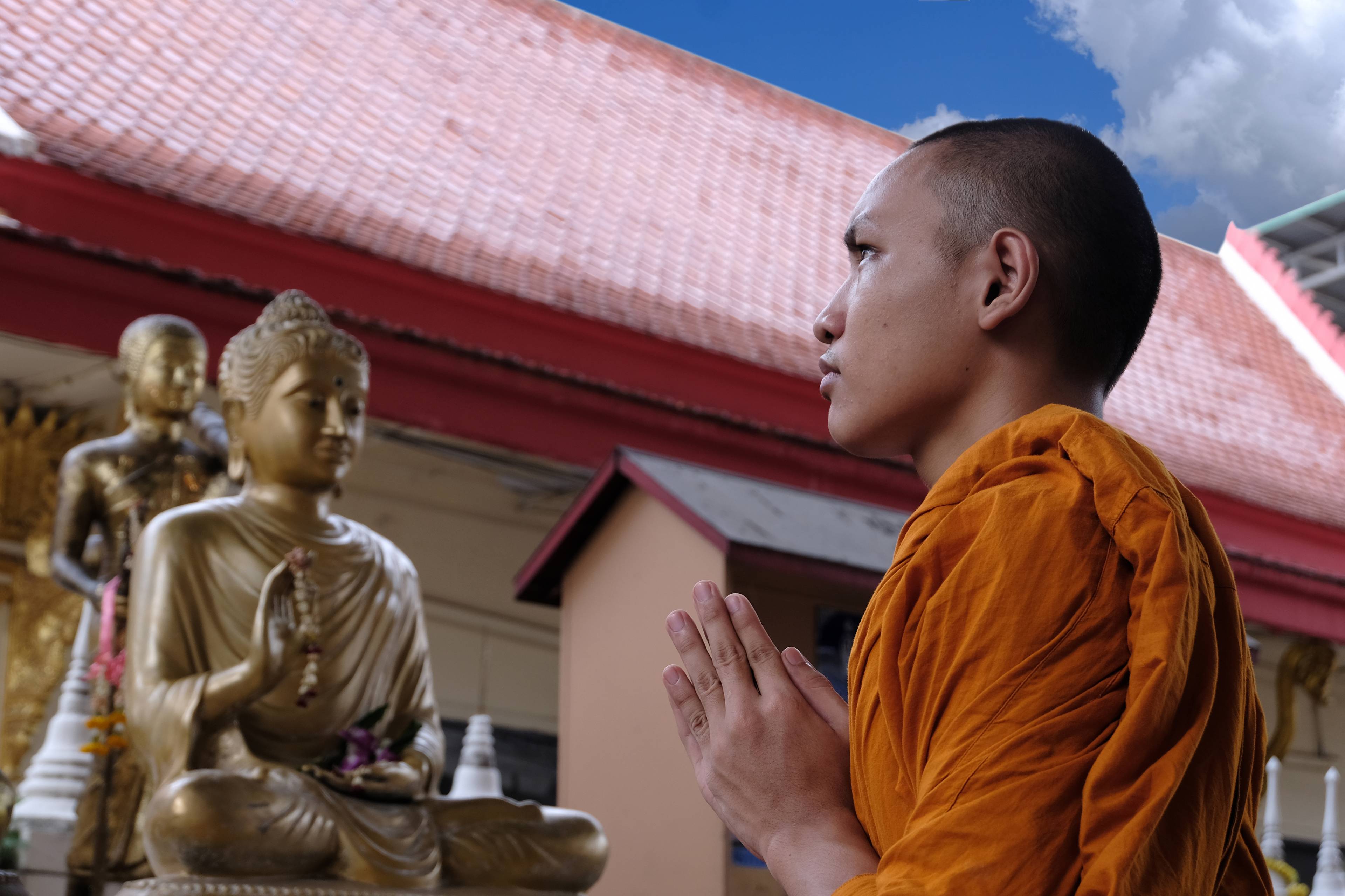 monaco tibetano prega statua di buddha