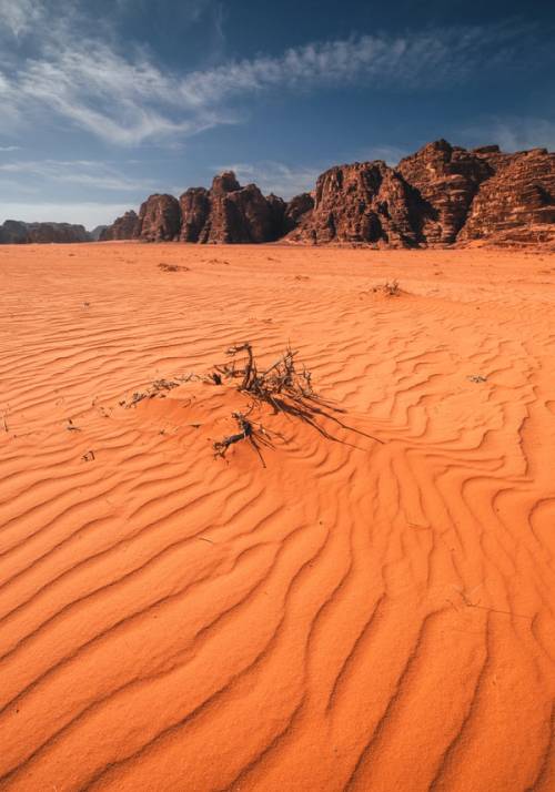 deserto del wadi rum