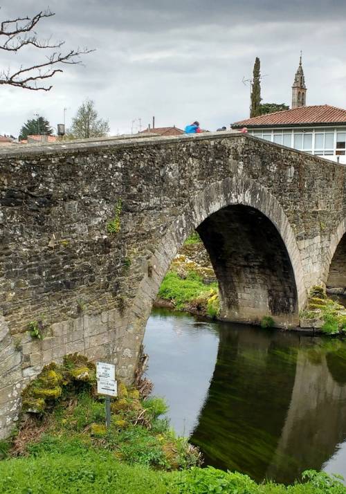 honey bridge