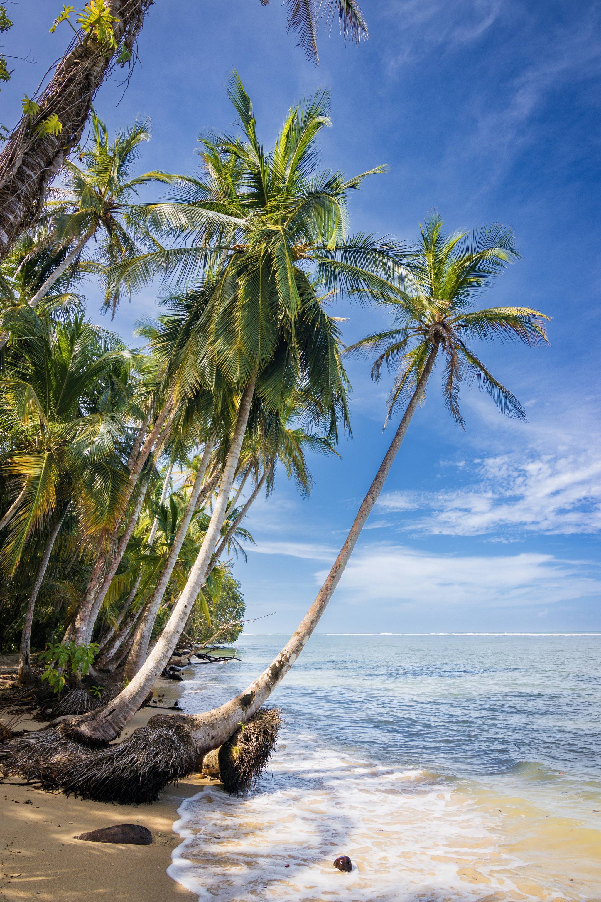 puerto viejo spiaggia in costa rica