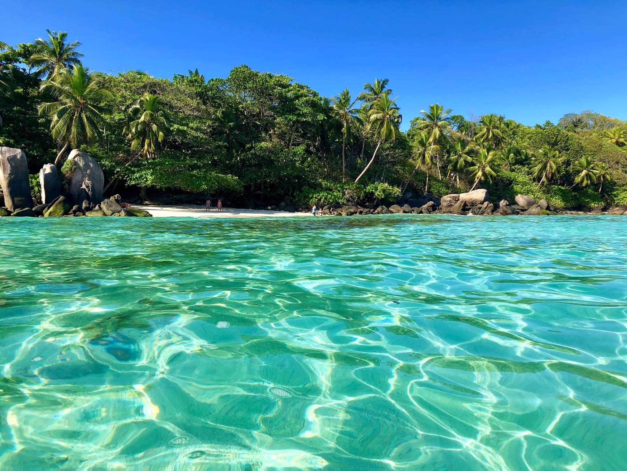 mare seychelles