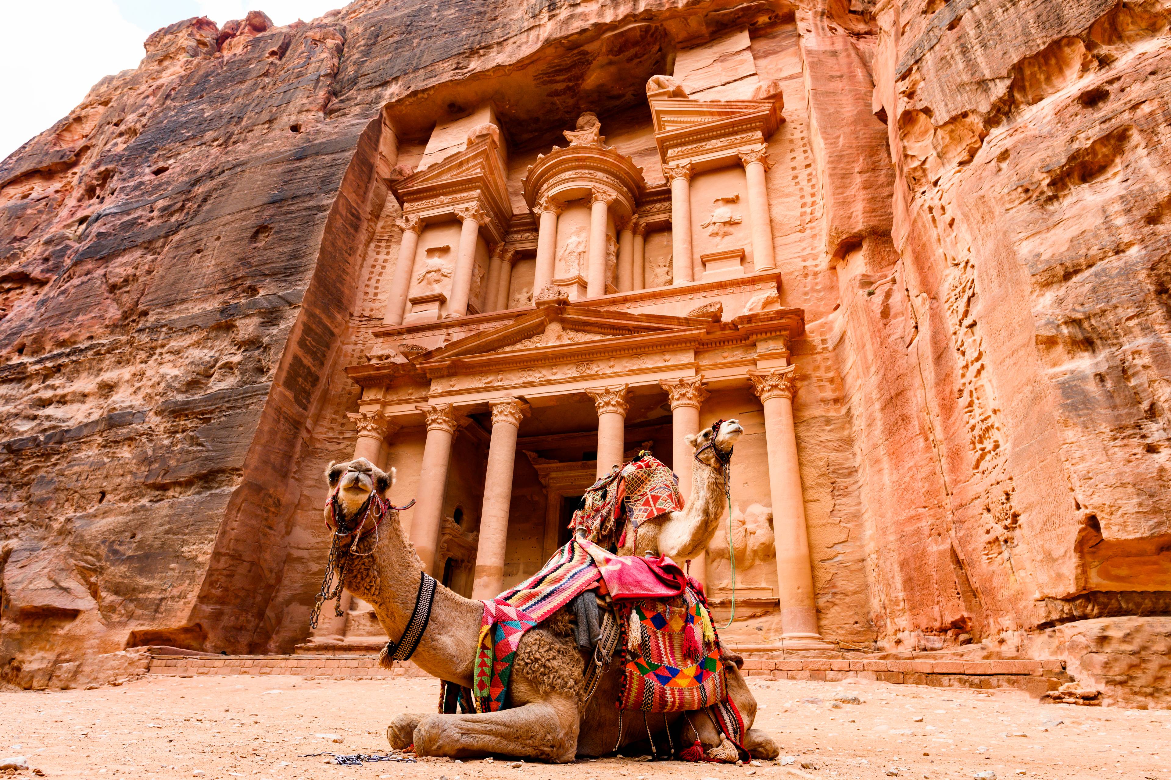 cammelli davanti a petra giordania