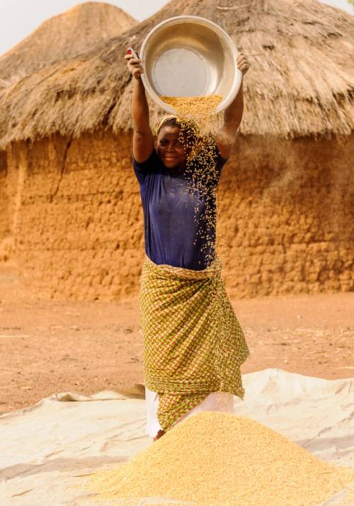 donna cesto di grano ghana
